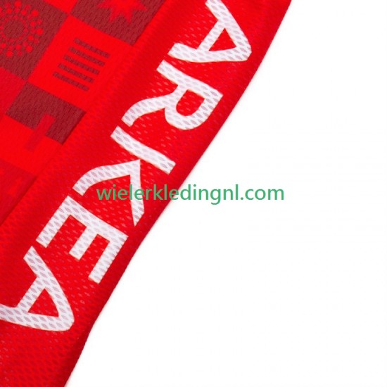 Wielershirt Arkea Bb Hotels Excalibur 2024 Heren