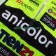 Wielervest anicolor tien 21 2025 Heren