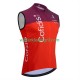 Wielervest cofidis 2025 Heren