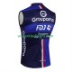 Wielervest groupama fdj 2025 Heren
