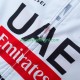 Wielervest uae team emirates 2025 Heren