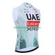 Wielervest uae team emirates xrg tdf editon race 2025 Heren