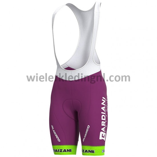 Wielershirt en Kort Koersbroek 2020 Bardiani–CSF M001