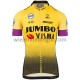 Wielershirt en Kort Koersbroek 2019 Team Jumbo–Visma M001