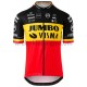 Wielershirt en Kort Koersbroek 2020 Team Jumbo–Visma M002