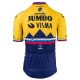 Wielershirt 2021 Team Jumbo-Visma M002